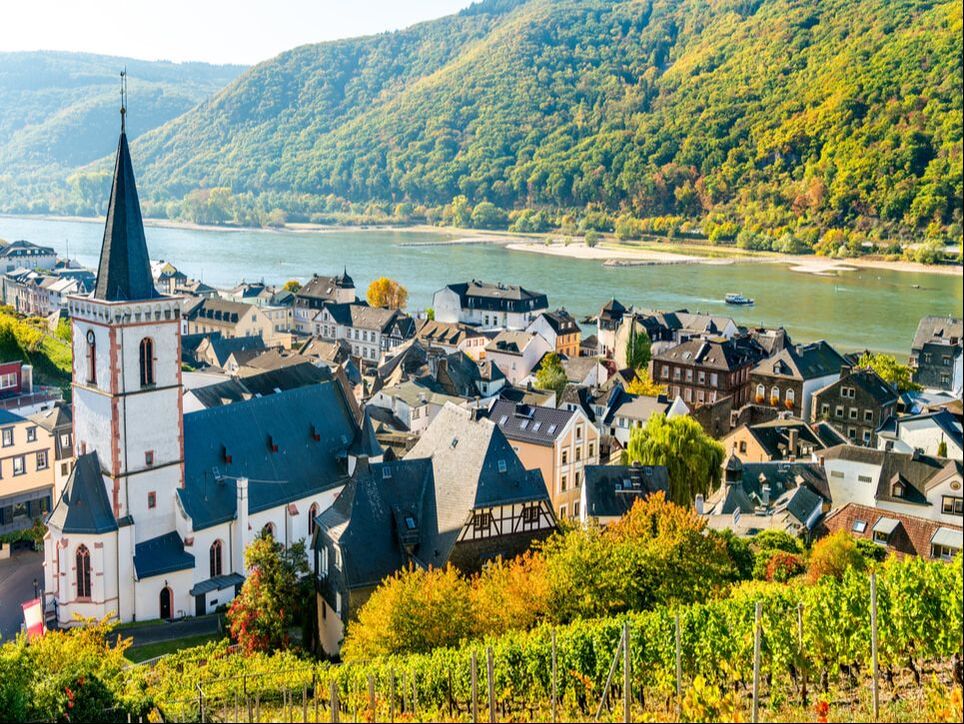 rudesheim-rhine-gorge